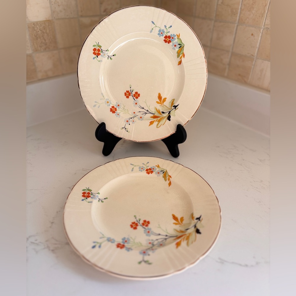 Myott Staffordshire Antique Floral Pattern